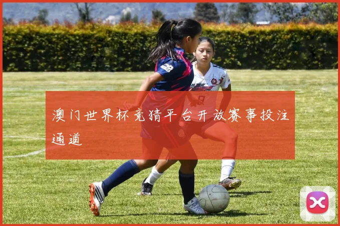 澳门世界杯竞猜平台开放赛事投注通道