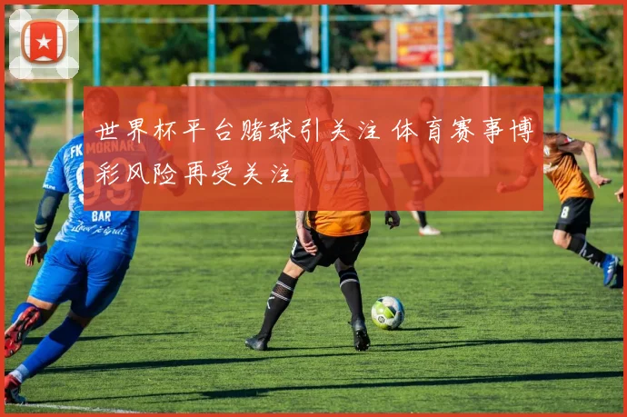 世界杯平台赌球引关注 体育赛事博彩风险再受关注
