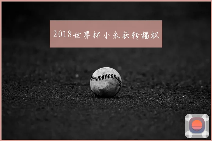 2018世界杯小米获转播权