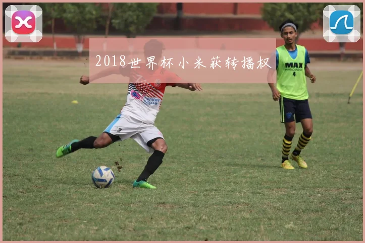 2018世界杯小米获转播权