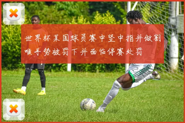 世界杯某国球员赛中竖中指并做割喉手势被罚下并面临停赛处罚